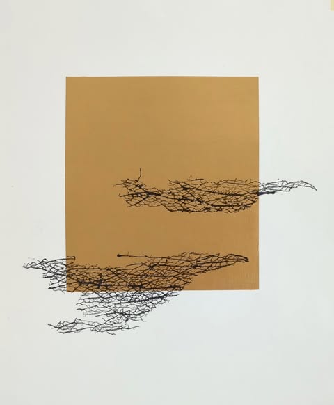 Fuerza 1